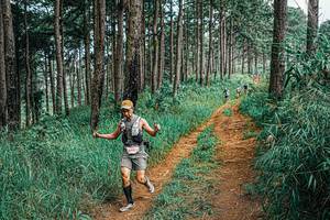 BIB: 
                            <button type="button" onclick="openModal(25694305)" class="btn btn-primary btn-sm float-right btn-popup" data-toggle="modal" data-target=".modal-high-quality">
                        <i class="fas fa-shopping-cart"></i> Add to Cart
                    </button>
                                            <button type="button" onclick="isThisMe(25694305, true)" class="btn btn-success btn-sm float-right btn-popup btn-isme hidden" data-toggle="tooltip" data-placement="bottom" title="นี่คือรูปของคุณใช่ไหม คลิกที่นี่เพื่อเอาเข้าอัลบั้ม">
                        <i class="fas fa-plus"></i> Add to album
                    </button>
                    <button type="button" onclick="isThisMe(25694305, false)" class="btn btn-warning btn-sm float-right btn-popup btn-isnotme hidden">
                        <i class="fas fa-ban"></i> Remove from album
                    </button>